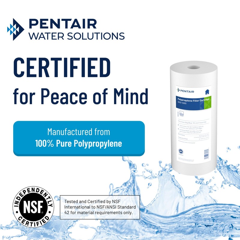 Pentair Pentek DGD-5005 Big Blue Water Filter, 10-Inch Whole House