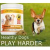 Amazing Turmeric for Dogs Curcumin Pet Antioxidant - Eliminates Joint