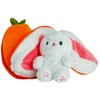 Deluxe Paws Easter Bunny Reversible Plush (Orange)