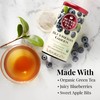 The Republic Of Tea Blueberry Green Superfruit Tea, 250 Tea