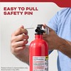 Kidde Basic Fire Extinguisher for Home, Office, Residential, Single-Use, 5BC