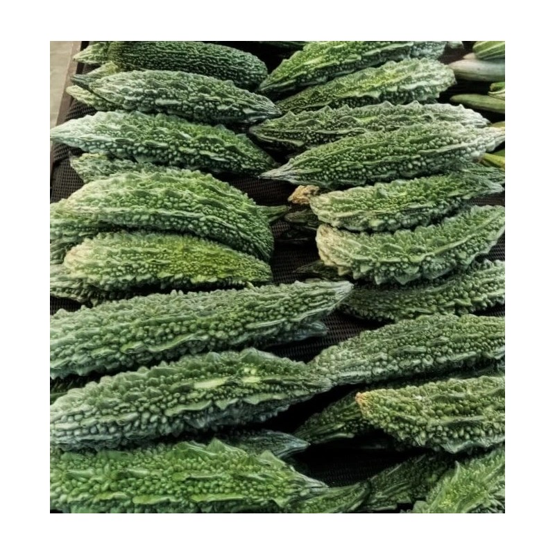 TomorrowSeeds Black Pearl Bitter Melon | Indian Bitter Gourd Dark
