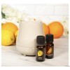 Scentsationals Essential Oil Diffuser Set With Lemon & Sweet Orange