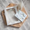 World Craft KFS-030 Glitter Clear Flake Seal Garden Party