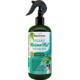 GARDENWISE Organic Marina Mist Foliar Spray for Money Tree | Liquid Fertilizer | Micro Nutrients for Vital Health | Liquid Plant Food (8 OZ)