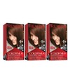 Revlon Colorsilk Beautiful Color, Medium Rich Brown, 3 Count