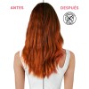 Kit Tratamiento para Cabello Teñido Wella Invigo Color Brilliance Shampoo