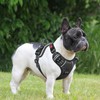 HEELE Dog Harness, Chest Harness for Dogs, Running Dog Harness