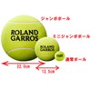 Wilson WRT1419YD Roland GARROS 9 JUMBO TBALL Tennis Ball, Diameter