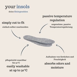 Pantoffelmann Felt Insoles Breathable & Warming, Felt Insoles Absorb Sweat / Odours Optimally, Soft & Cushioning Wool Felt Sole (40/41 EU, Grey), gray