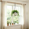 Self-Watering Hanging Planters, 3D Printed Owl Flower Pots