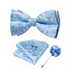DiBanGu Light Blue Bow Ties for Men Paisley Pretied Bow