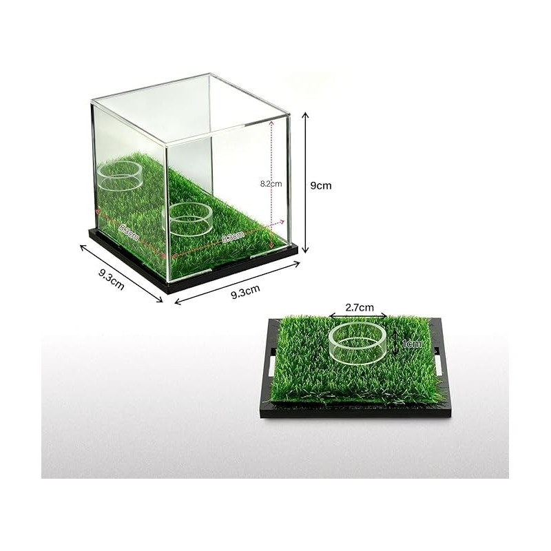 Generic Ultra Pro Clear UV Resistant Ball Case Baseball Case