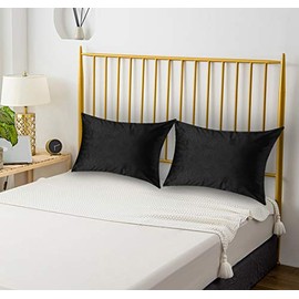 Ultra Soft Velvet Queen Pillow Cases Pillowcase with Hidden Zipper, Zippered Warm Pillow Pillowcase 2-Piece (Black, 20x30)