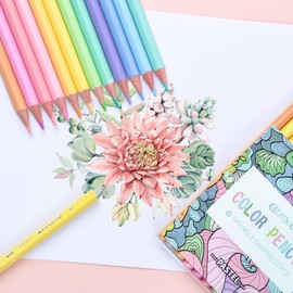 ECOTREE Macaron Colored Pencils, Soften Wood, Pastel Coloring for Adult and Kids, Art Supplies for School, Coloring, Drawing, Shading, 12 Count