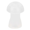30pcs Hearing Amplifiers Eartips Soft Silicone White Accessories Replacement Earbud