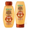 Shampoo Y Acondicionador Whole Blend Garnier + Leave -in