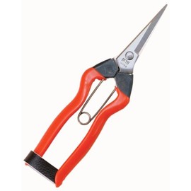 越路 Stainless 摘 花鋏 K – 9