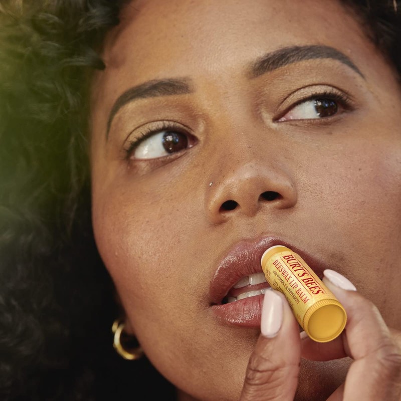 Burt's Bees Moisturizing Lip Balm for Dry Chapped Lips, Holiday