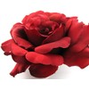 4.5" Red Rose Silk Flower Hair Comb