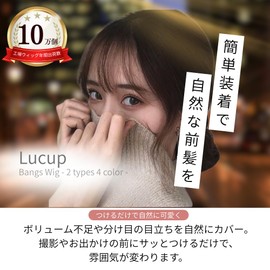 Bangs Wig Hairpin Whorl Iron Clip Part Point Hide Gray Lucup (Brown Black, No Sides)