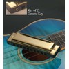 Randon Golden Harmonica Key of C with Case, 10 Holes