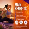 OPTIMEND PASTILLAS CURCUMINOIDES Y BESWELLIA PARA LA MEMORA, ENFOQUE Y
