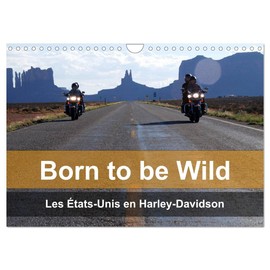 Born to be wild - Les États-Unis en Harley-Davidson (Calendrier mural 2023 DIN A4 horizontal): Les magnifiques paysages du Sud-Ouest américain vus de ... d'une Harley (Calendrier mensuel, 14 Pages )