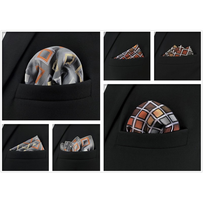 Shlax & Wing Men's Pocket Square Set of 5 Business