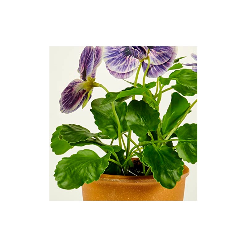 Worth Imports 10" Blue Pansy in 4" Pot Plant