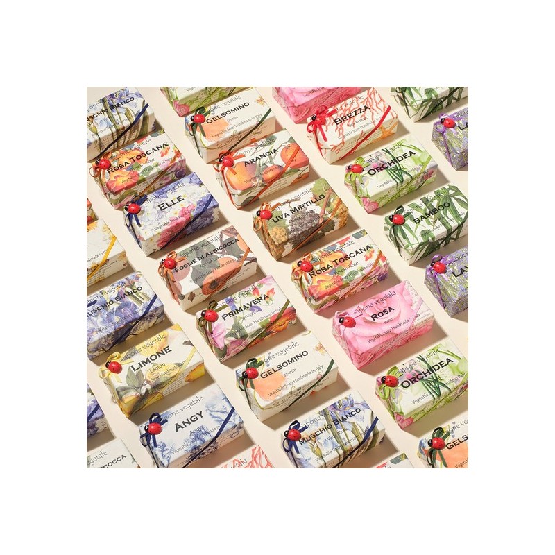 Alchimia Ladybug Soap - White Musk / 알키미아 무당벌레 비누