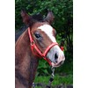 Start ILoveMyMini Foal Noseband Adjustable on Chin & Headpiece Foal