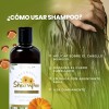 Filip Natural - Shampoo Caléndula, Reparación, 500ml
