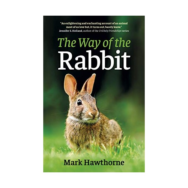 The Way of the Rabbit