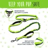 Mighty Paw Hands Free Dog Leash | Bungee Waist Leash