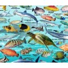 Franko Maps Caribbean Reef Creatures Poster - Beautiful illustrations of