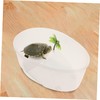 CIYODO Turtle Tank Basking Platform Practical Reptile Drying Habitat for