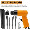TRUCFUSION 2 in 1 Air Hammer Kit, Air Needle Scaler