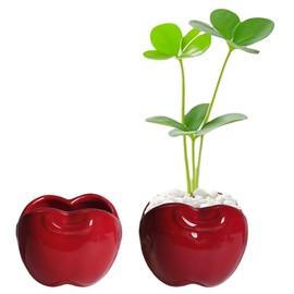 Red Apple-Shaped Ceramic Pot Novelty Succulent Planter Small Flowerpot Air Plant Holder Porcelain Bonsai Display Container for Desk Windowsills Shelves Home Office Garden Decor, No Plants