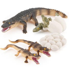 Crocodile Life Cycle Life Cycle of Baby Crocodile Figurines Set Toys Realistic Farm Animals Preschool Animals Figures Eduactional Project Diorama Model Toy for Kids