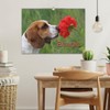 Beagle Wall Calendar 2025 DIN A3 Landscape CALVENDO Monthly Calendar