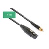 PD Connex Cable Converter XLR Female – RCA Male