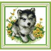 Happy Forever Cross Stitch Kits 11CT Stamped Patterns for Kids