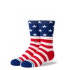 Stance Crew The Fourth St Kids Socks (Medium, White)
