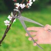 Multifunction Carbon Steel Garden Branch Cutter Long Handle Scissor Bonsai