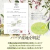 Maternity Blended Herbal Tea, 0.05 oz (1.5 g) x 12