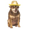 Rubies Costume Co Fedora Pet Costume Accessory, Medium/Large, Gold Sequin