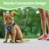 Cat Harness and Lead Set, Kitten Harness with 5m/16.4 Ft