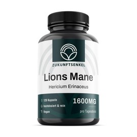 Lions Mane 120 Kapseln Hochdosiert Konzentration Steigern Löwenmähne Pilz Extrakt Brainfog Mushroom Kapseln Hericium Vitalpilz Vegan Nootropics (1)