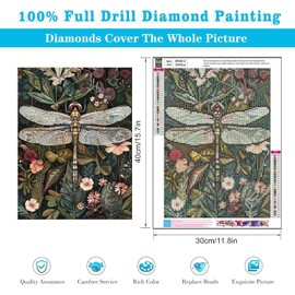 AIBOERL Dragonfly Diamond Art Kits for Adults,DIY Diamond Art 5D Gem Art Kits,Full Drill Diamond Painting Diamond Dots Crafts for Home Wall Door Decor Gift 11.8x15.7inch